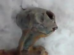 俄罗斯发现外星人尸体（视频）